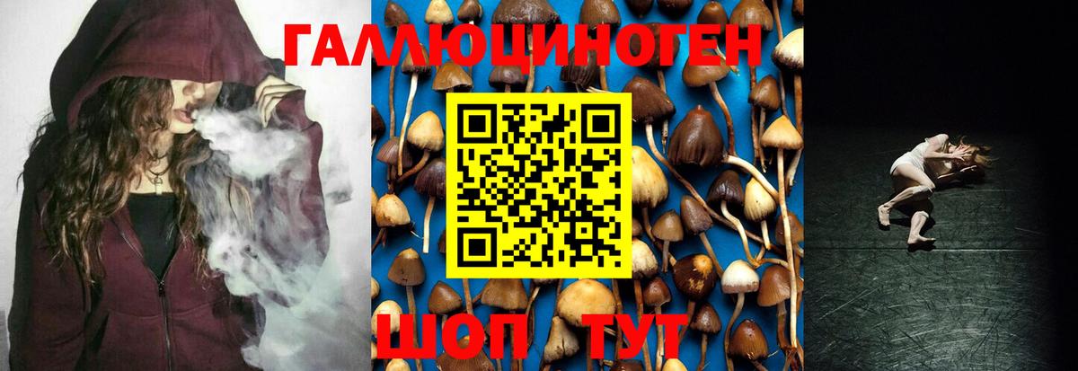 Псилоцибиновые грибы Psilocybine cubensis  сколько стоит  Касимов  Вход с VPN 